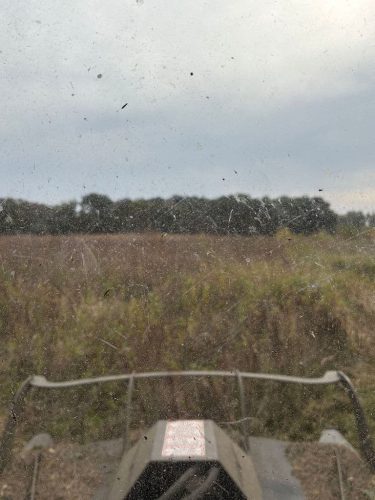 tree-services-willmar-mn-gallery-IMG 20251001 070219 (1)