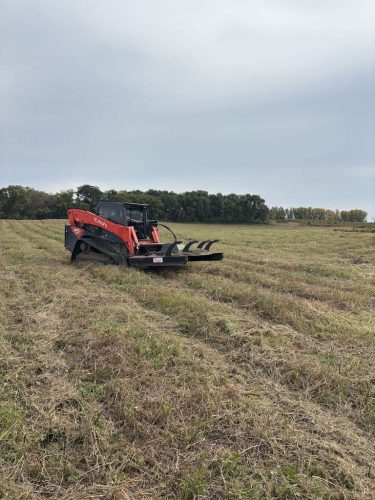 tree-services-willmar-mn-gallery-IMG 20251001 070222 (1)