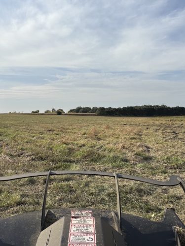 tree-services-willmar-mn-gallery-Photo-Oct-01-2025-4-35-08-PM