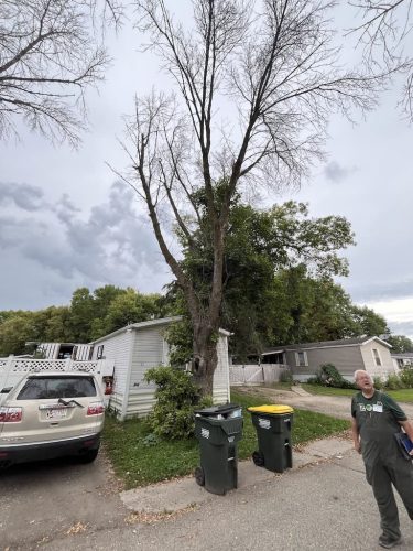 tree-services-willmar-mn-gallery-Photo-Sep-17-2025-9-40-06-AM