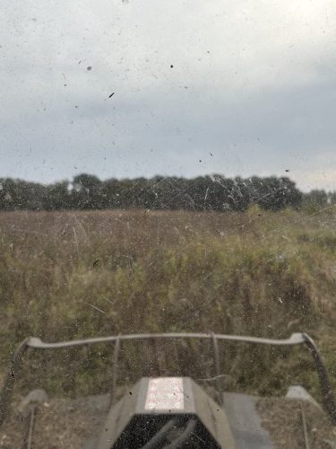 tree-services-willmar-mn-gallery-Photo-Sep-30-2025-10-18-45-AM