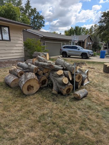 tree-services-willmar-mn-gallery-Photo-Sep-30-2025-7-16-08-AM