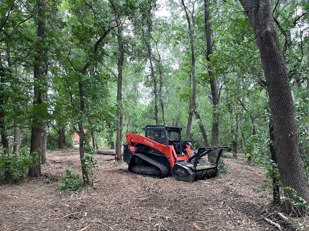 Tree Service Wilmar Mn 9R2zgHUw