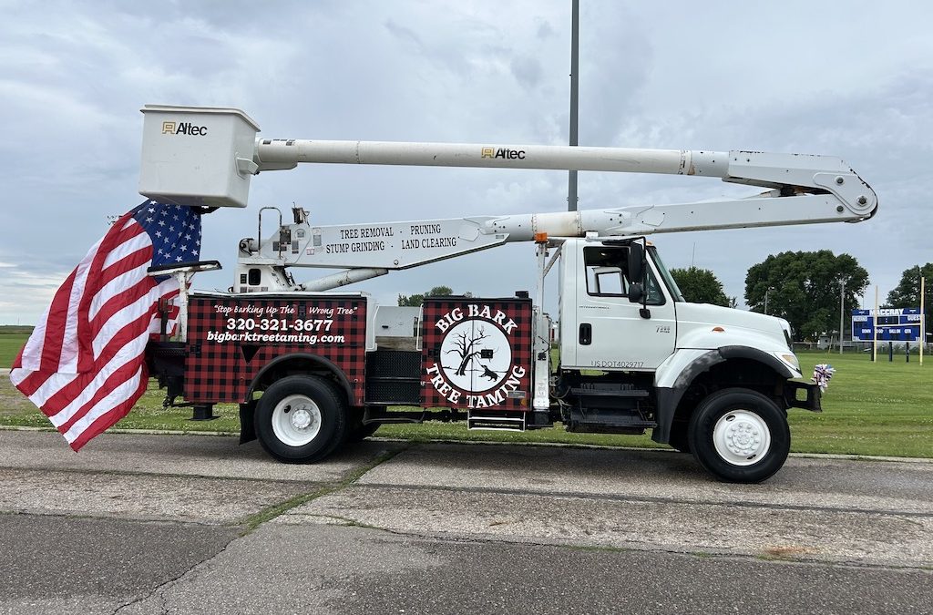 Tree Services Willmar Mn Gallery 2025 10 15 1